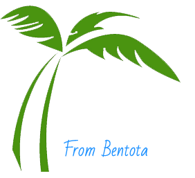 Sri Lanka Round Tour Packages Logo Footer