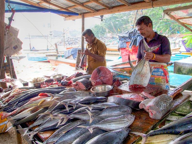 Galle fish Market