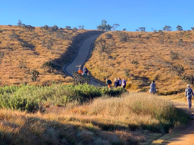 Horton Plains