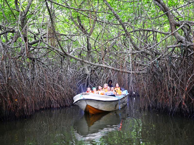 Madu River Boat Ride