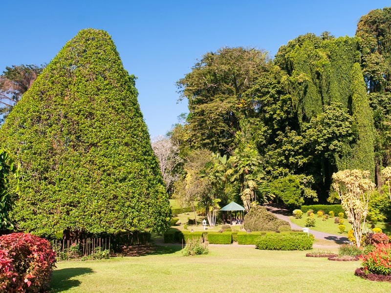 Peradeniya Botanical Gardens