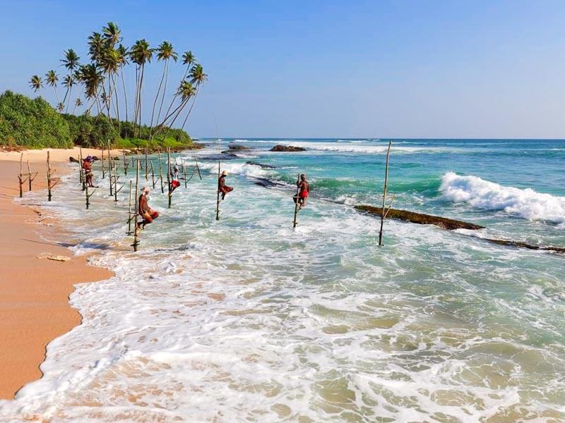 Stilt Fishermen Hikkaduwa